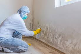 Best Biohazard Mold Removal  in Wilton Center, CT